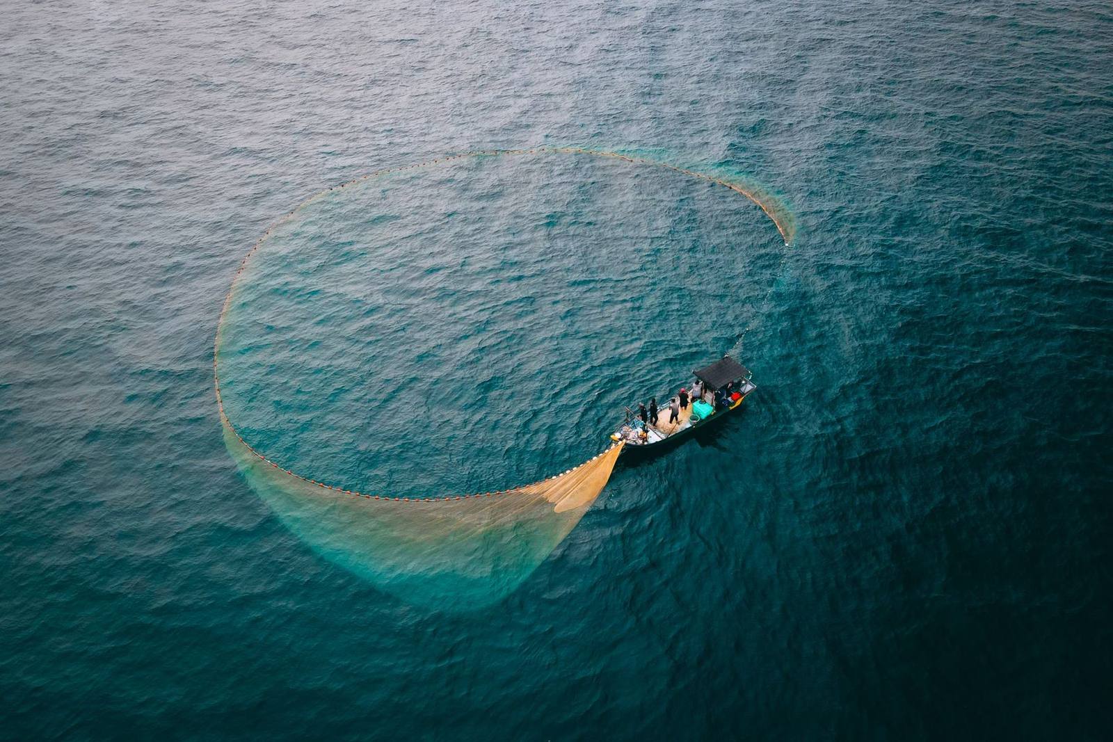 Aerial view of a fishing boat setting a ring net on open water